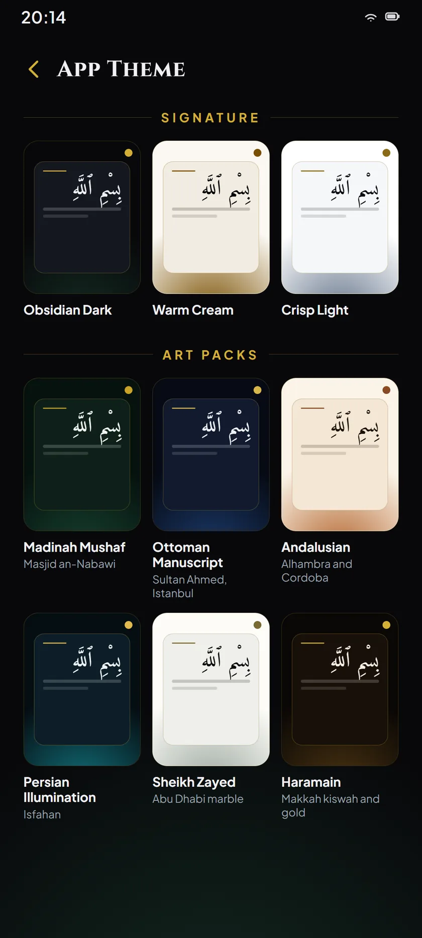 The theme picker, showing the nine reading themes as selectable cards.